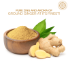 Pride of India | Ginger Fine Ground 6 oz (17 gm) Small Dual Sifter Jar | Easy to Use Blends Well | Perfect for Cooking, Baking, Tea, Curries, Soups |